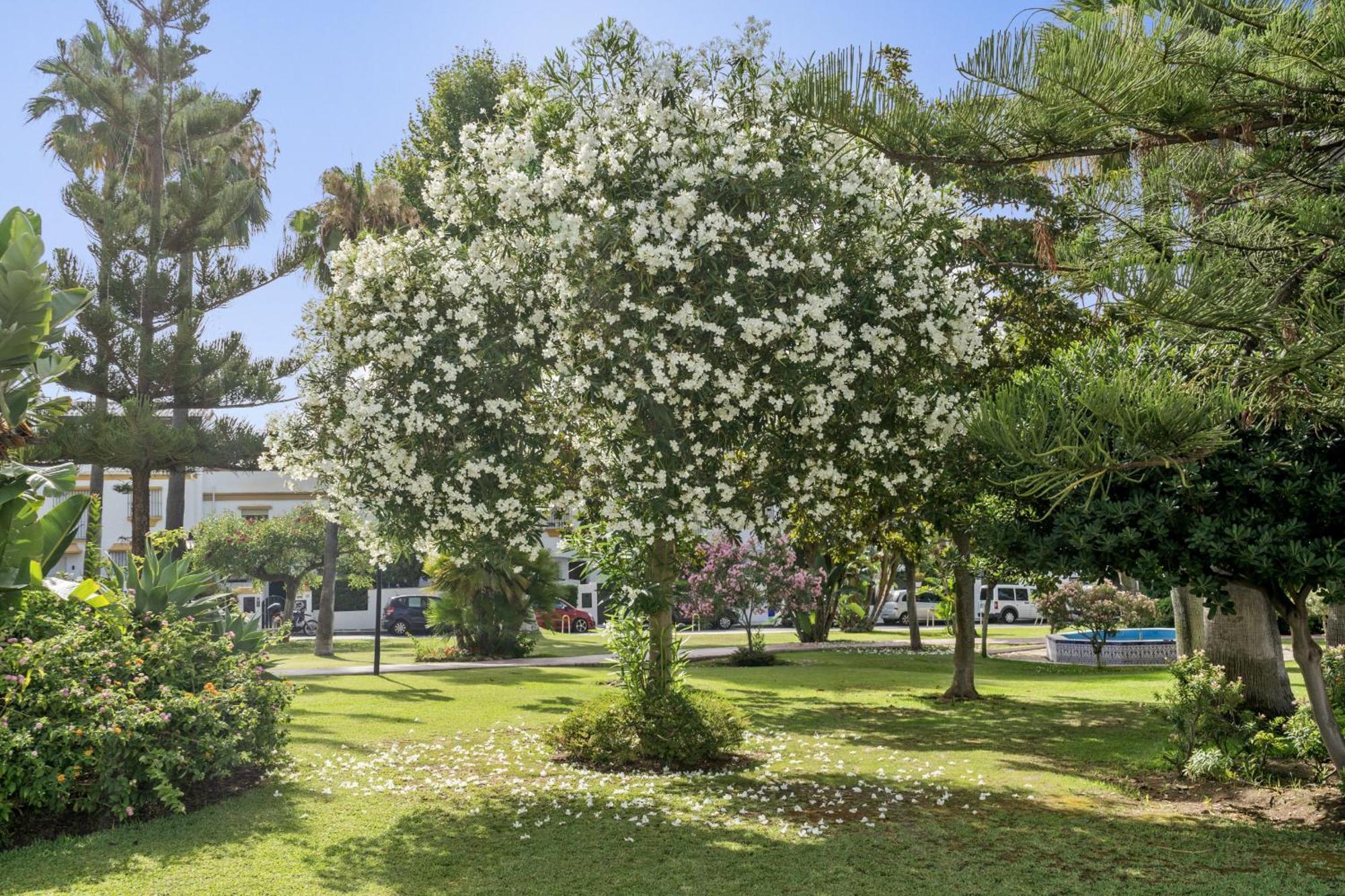 Casa Adriana Villa มาร์เบยา ภายนอก รูปภาพ